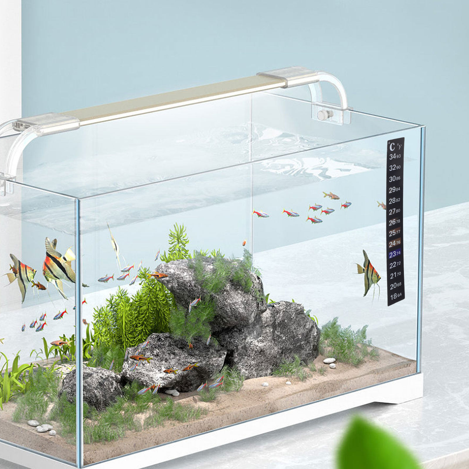 2Pcs Stick Aquarium Thermomete - Temperature Strip Thermometer 评论和价格