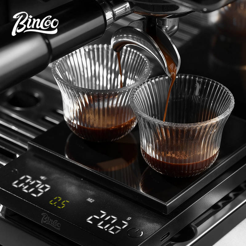 BINCOO Digital Coffee Scale 0. - Scale Drip Timer 评论和价格
