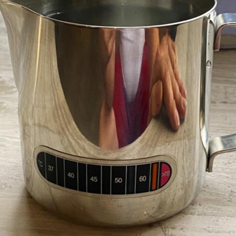 L9BE Temperature Display Stick - Temperature Strip Thermometer 评论和价格